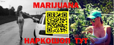 дживик Можга